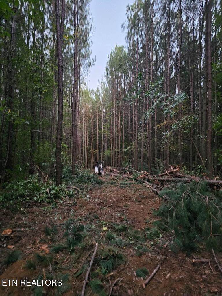 1050 Mt Vernal Rd - Photo 1