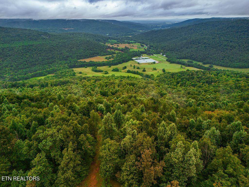 0 Bear Knob Lane - Photo 1