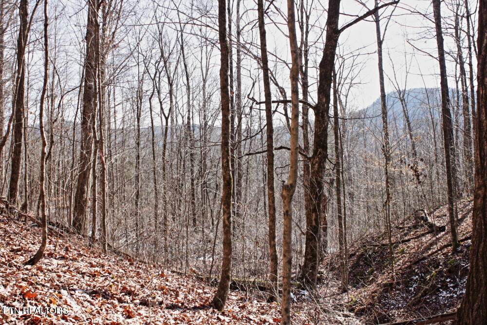  Cheynne Drive - Photo 1