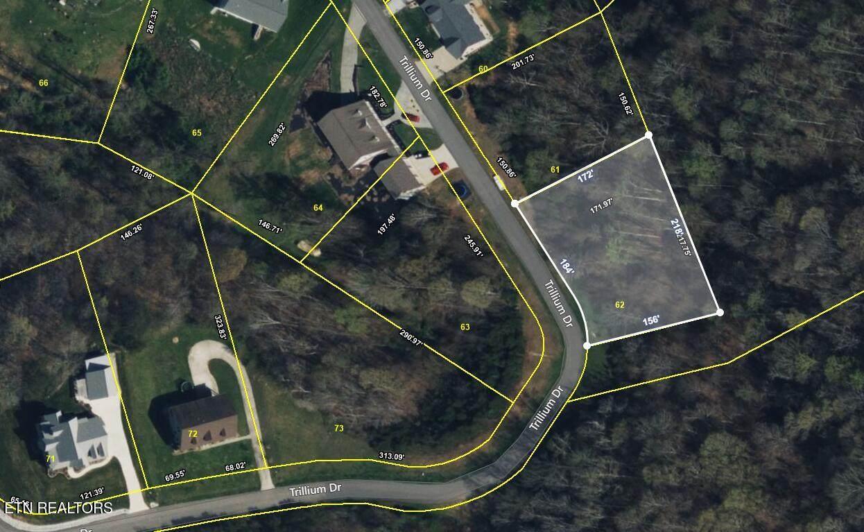  Trillium Drive - Photo 1