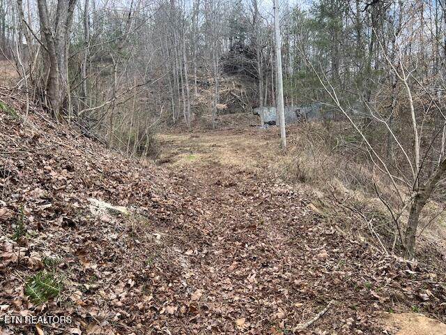 3071 Mica Way - Photo 1