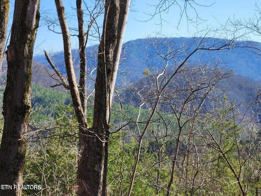  Highway 39E - Photo 1