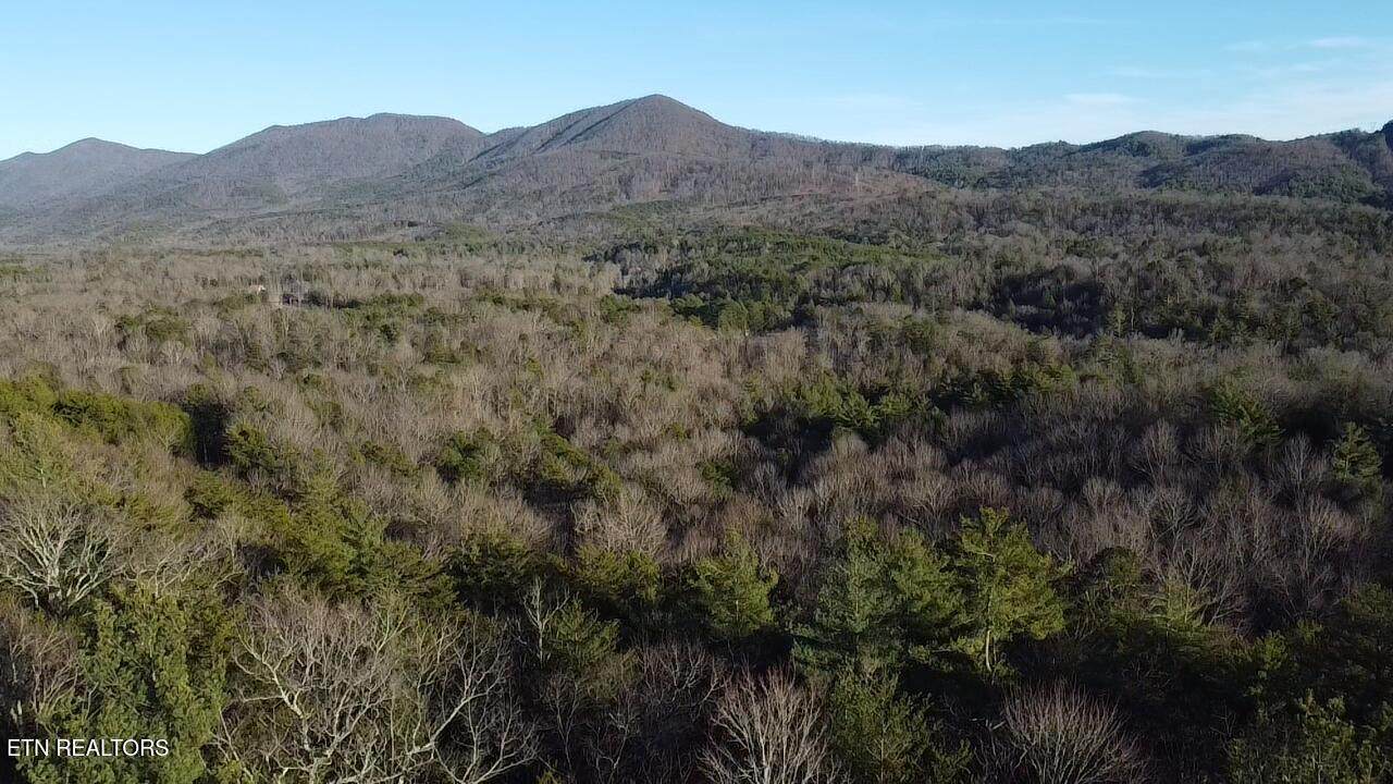 Cooper Hollow Rd - Photo 1