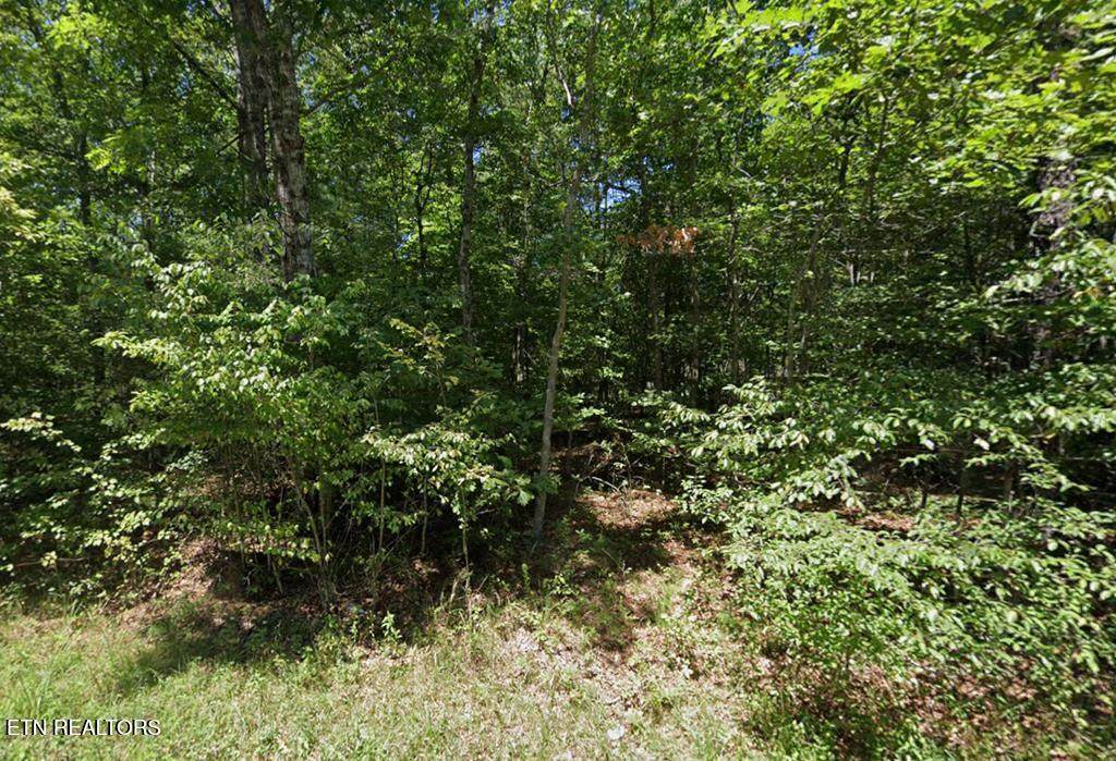 2025 Menasha Drive Drive - Photo 1