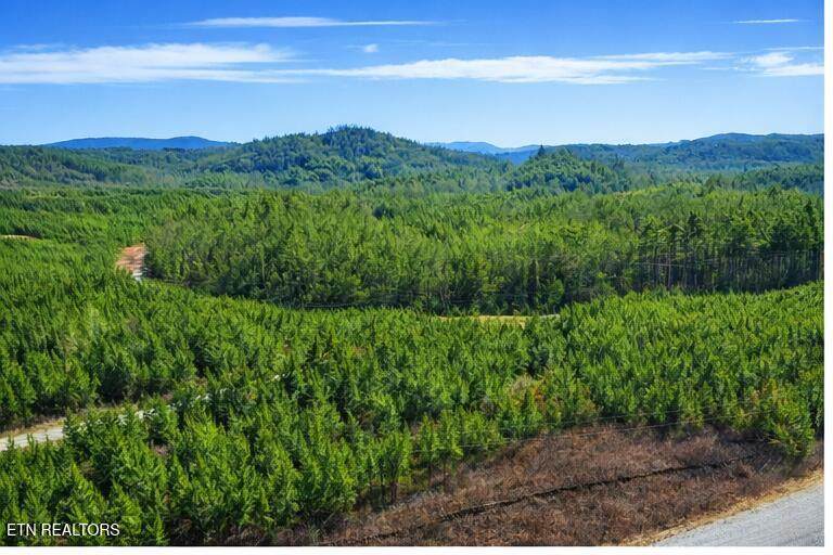  Ridgeline Dr - Photo 1