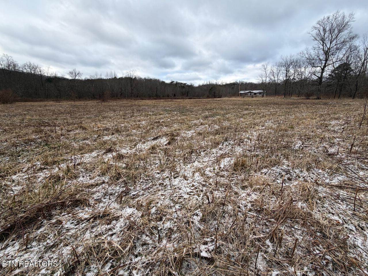 5441 White Oak Rd - Photo 1