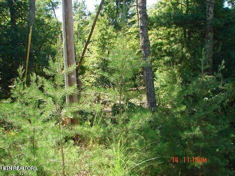 175 Pineridge Loop - Photo 1