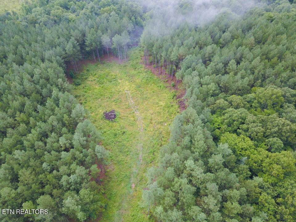 59 Union Hill Rd - Photo 1