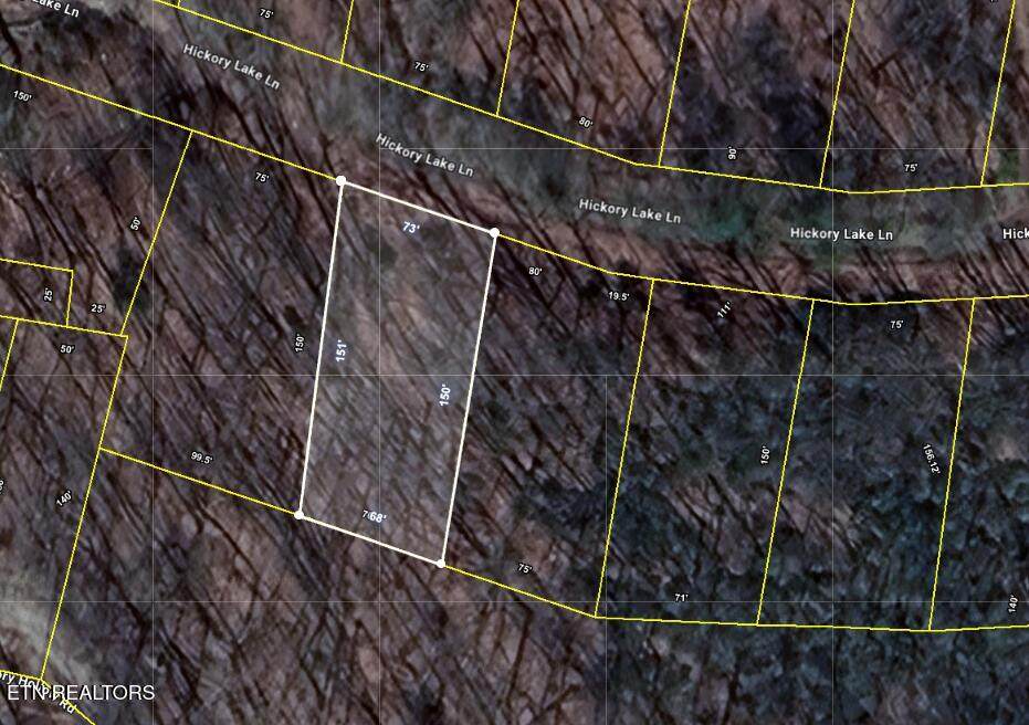 0.24 ac Hickory Lake Lane - Photo 1