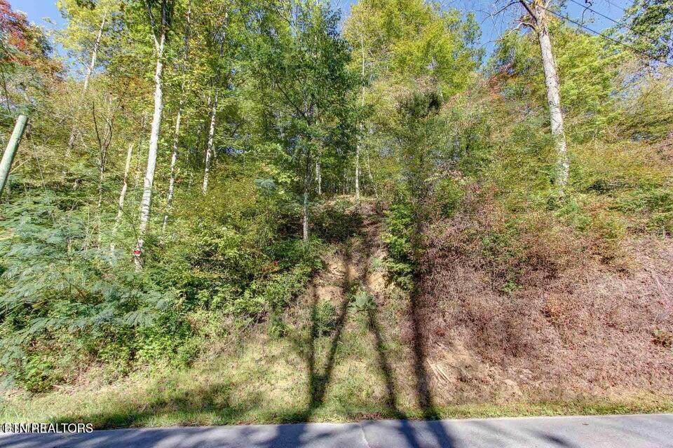 947 Powdermill Rd - Photo 1