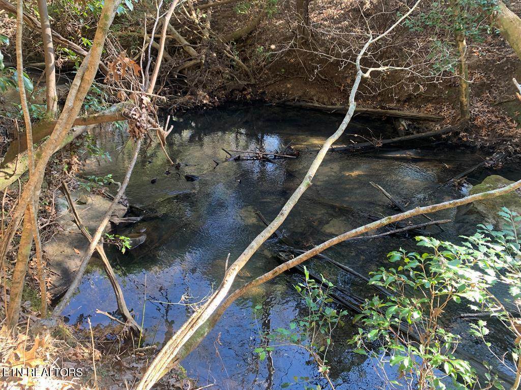 Tract 2 Lone Wolf Trail - Photo 1