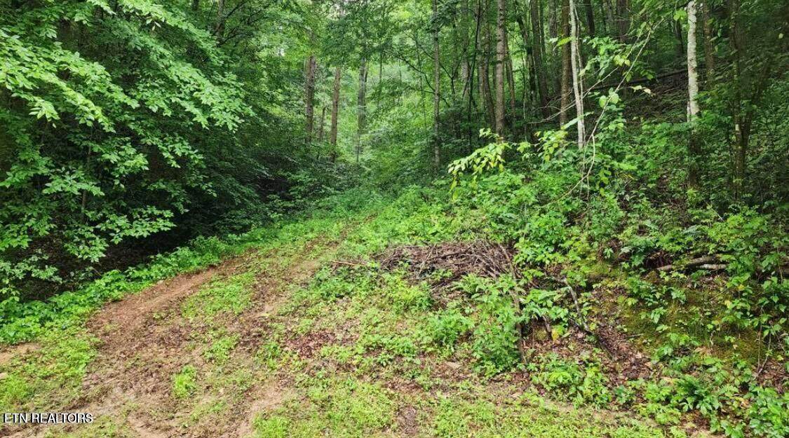 4473 Chavis Rd - Photo 1