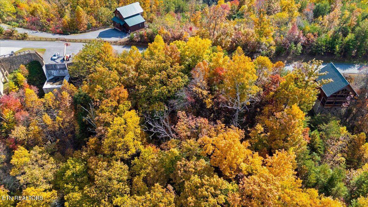  Lots in Starr Crest Subd - Photo 1