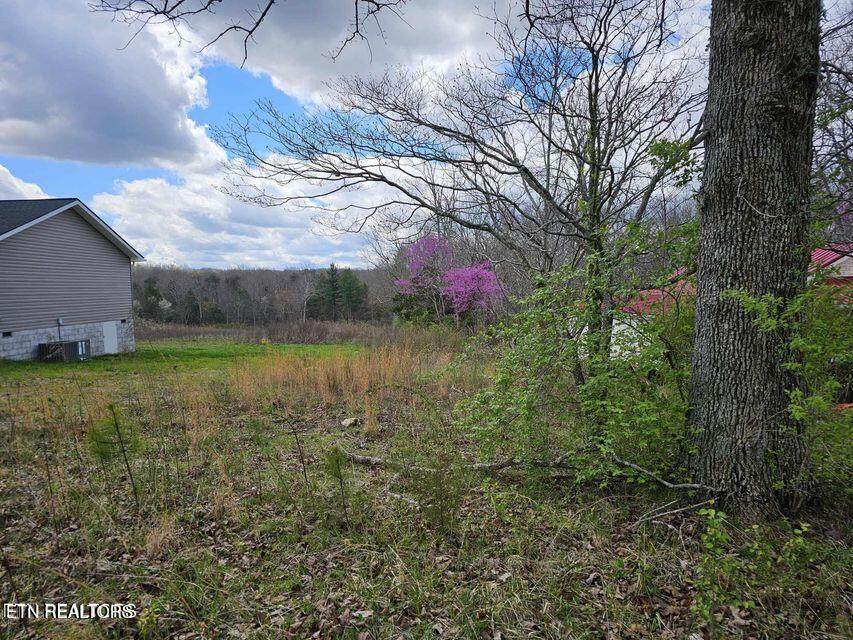  Sparta Drive - Photo 1