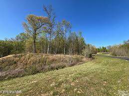 391 Thief Neck View Drive - Photo 1