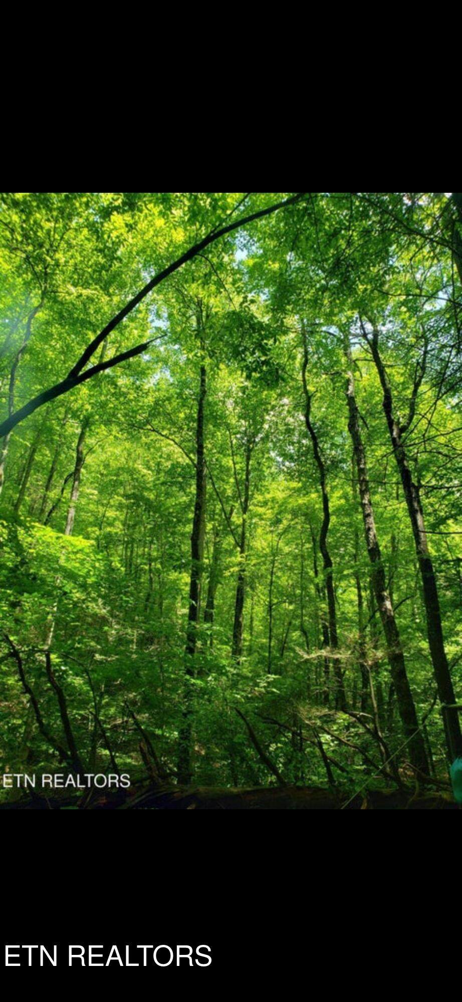  Watson Hollow Rd - Photo 1