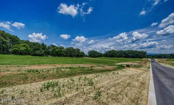 LOT 9R 848 Sophie Drive - Photo 1