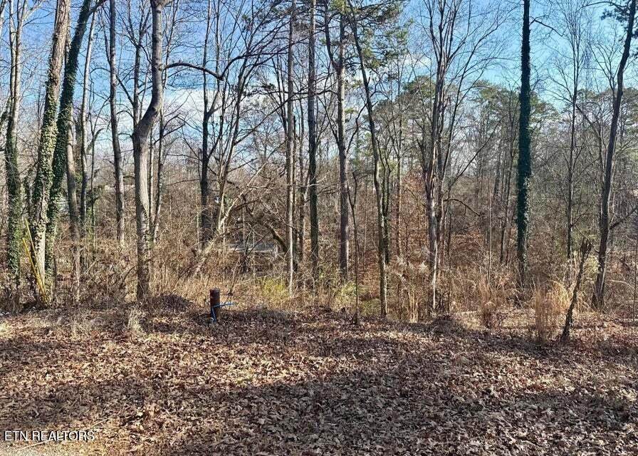 Lot 43,44, Mayflower Lane - Photo 1