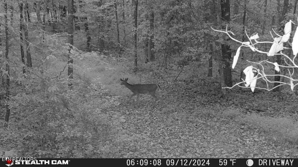  Smith Mountain Rd - Photo 1