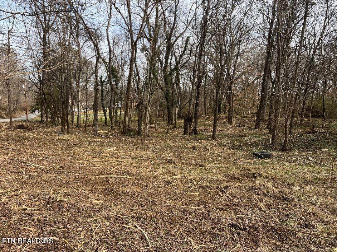 4410 Cave Mill Rd - Photo 1
