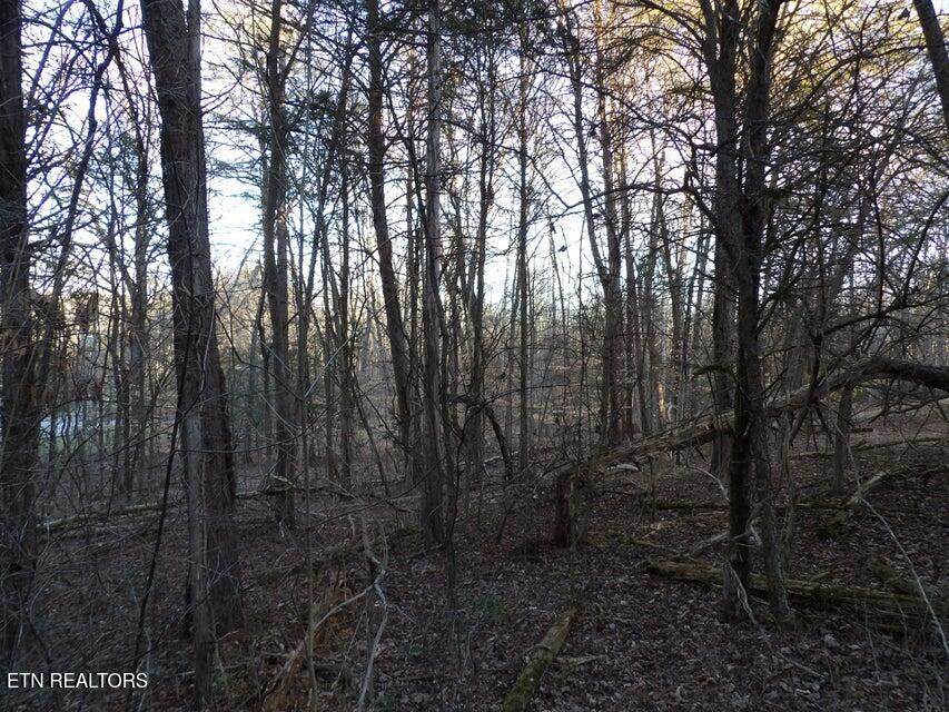 Lot 1060 Mountain View Lane - Photo 1