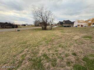 254 Hawks Bend - Photo 1