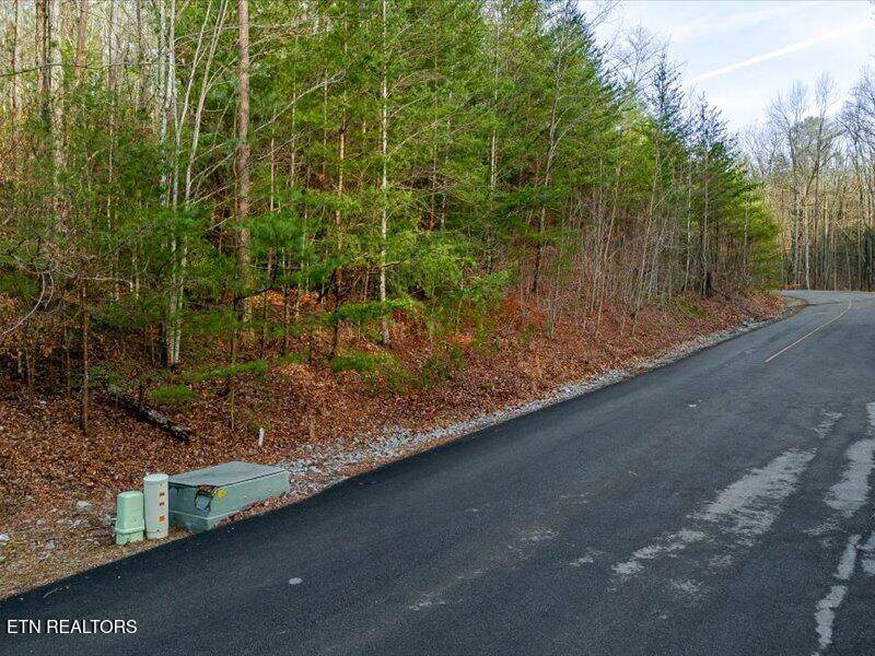 Lot 50 Harvest Moon Rd - Photo 1