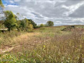 5300 Luke Lane - Photo 1