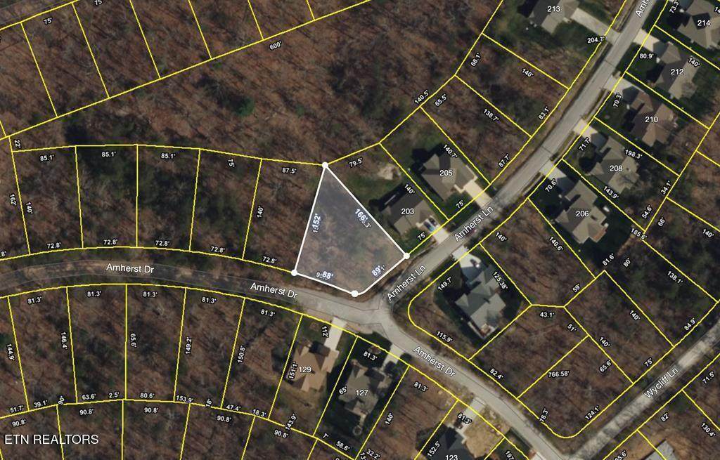 201 Amherst Lane - Photo 1