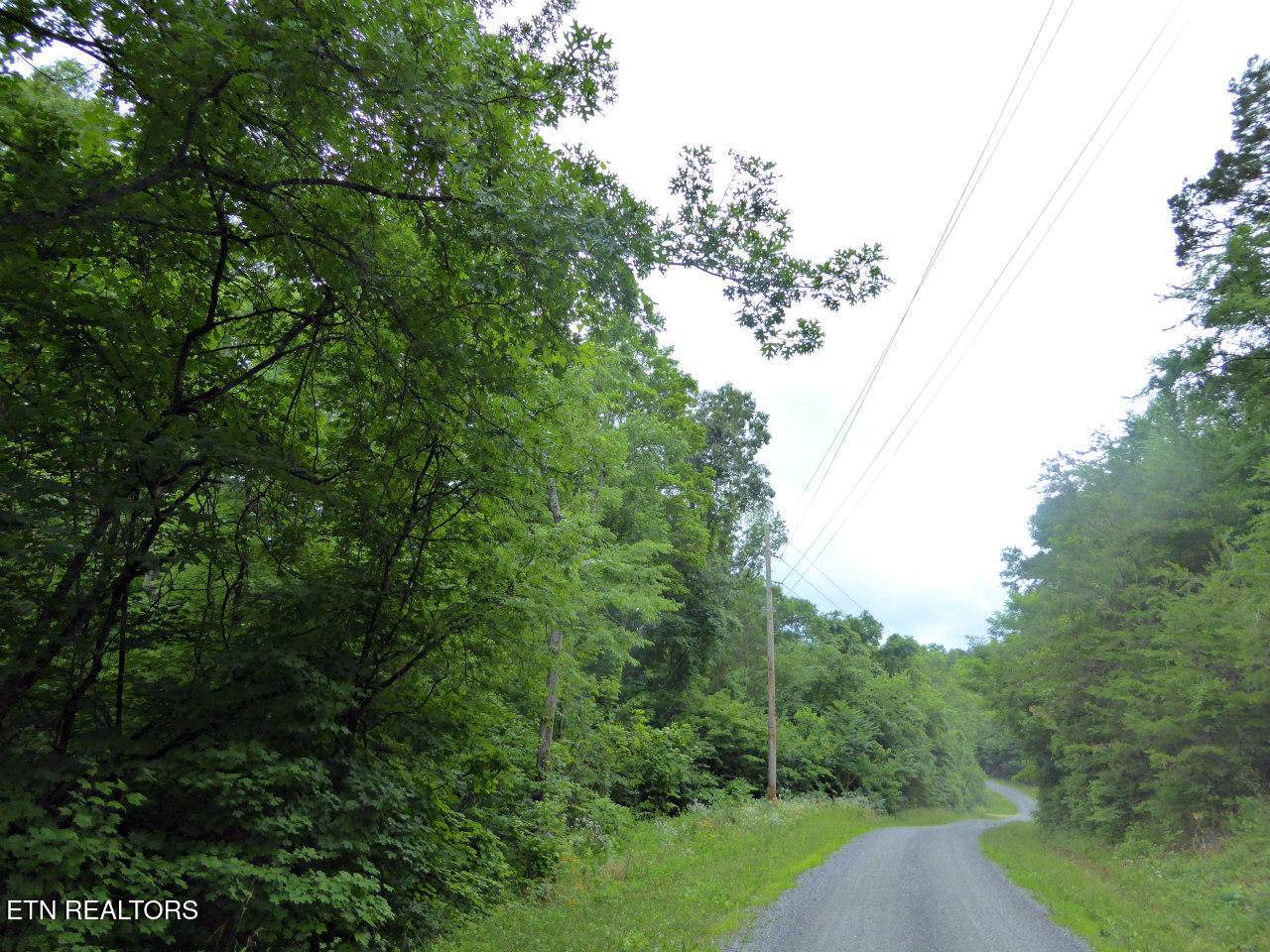 550-551 Spring Lane - Photo 1