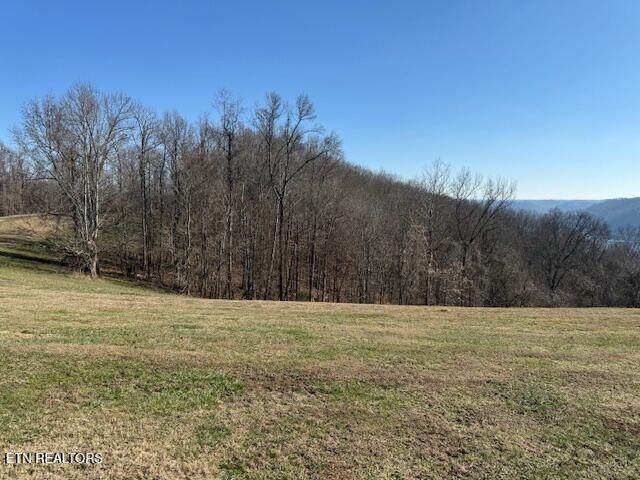 00 Smithville Hwy - Photo 1