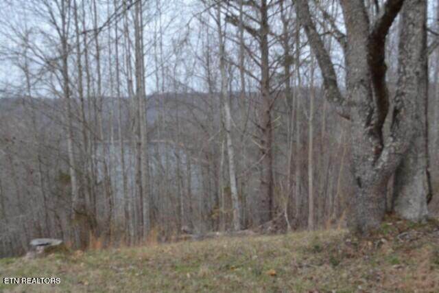 Lots 4 & 5 Fox Hill Rd - Photo 1
