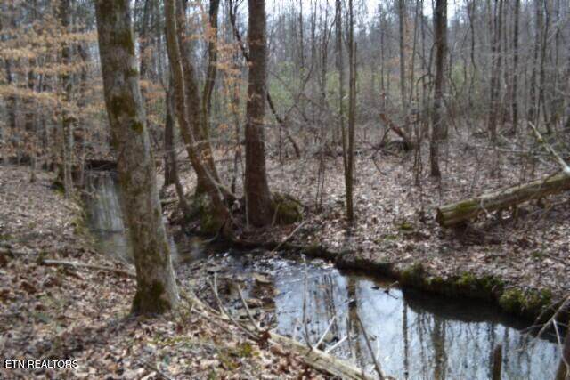 87+/- Boles Rd Rd - Photo 1