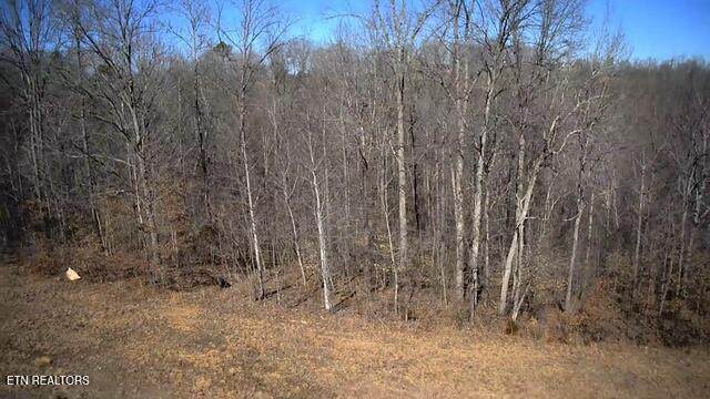 531 Cedar Gate Lane - Photo 1