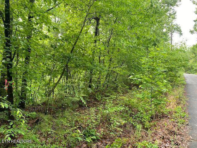 9129 Lynnwood Lane - Photo 1