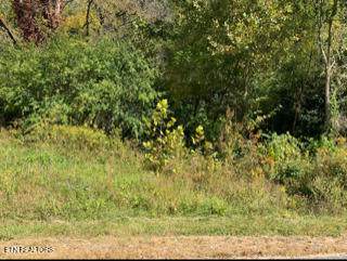 624 Thompson Creek Lane - Photo 1
