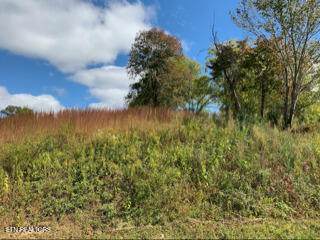 616 Thompson Creek Lane - Photo 1