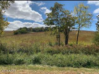 611 Thompson Creek Lane - Photo 1
