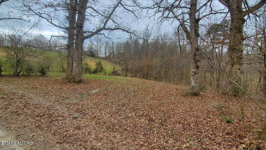 226 Keeton Lane - Photo 1