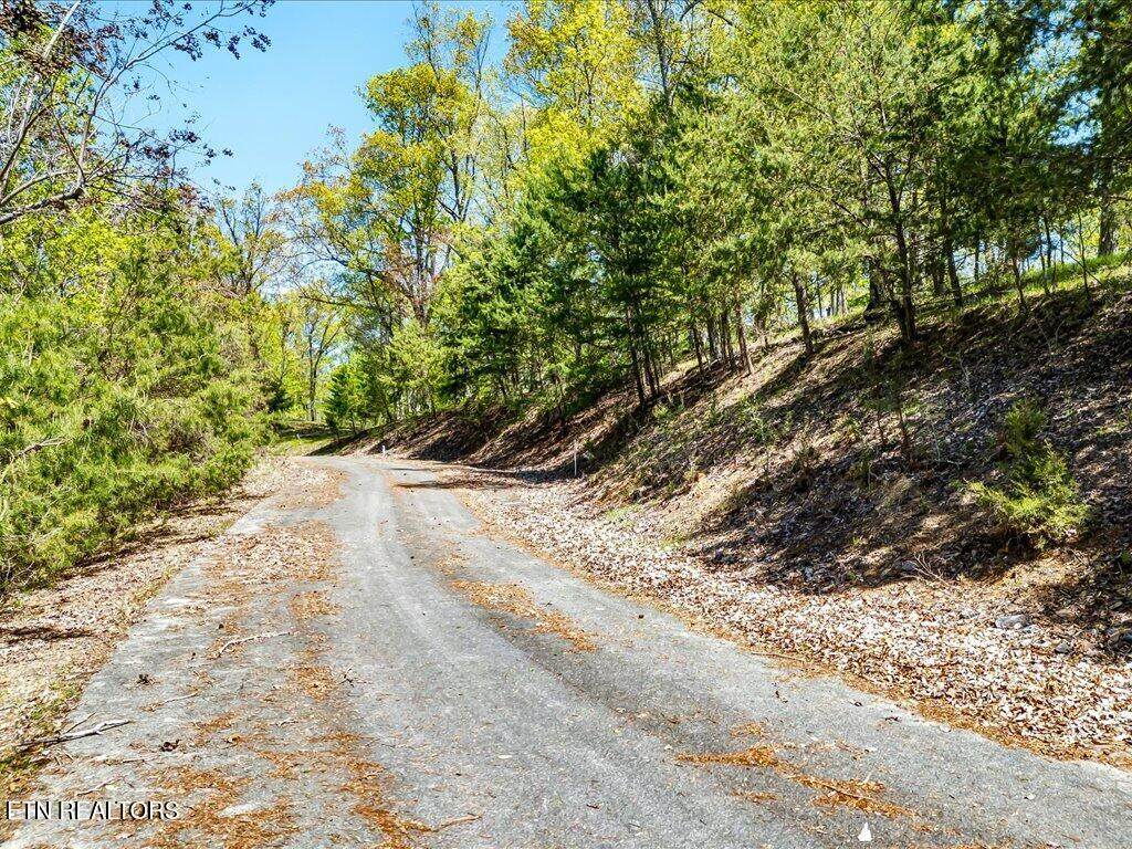 Lot 49 Hickory Knoll Circle - Photo 1