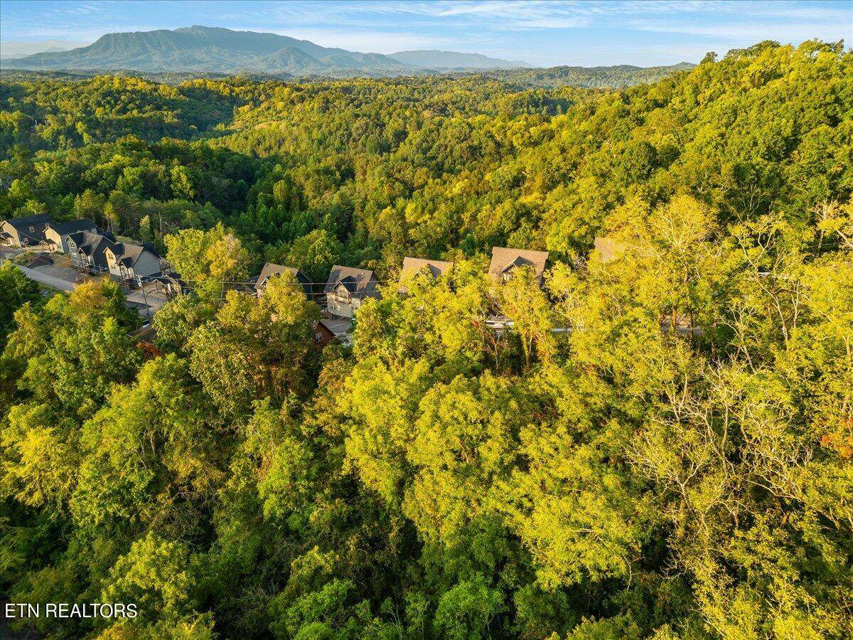 Lot 144 Eagle Feather Drive - Photo 1