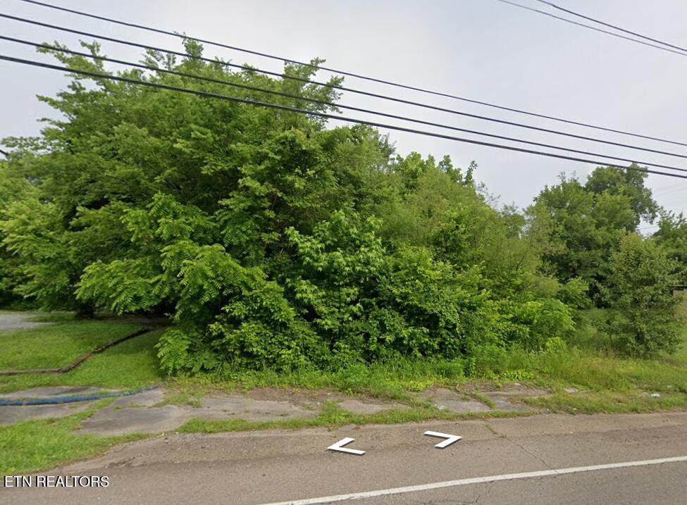 1313 Maryville Pike - Photo 1