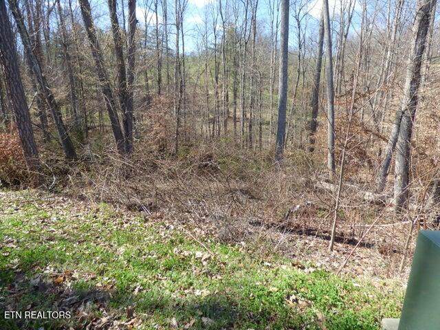 Lot 23 Bridgewater Pointe Blvd - Photo 1