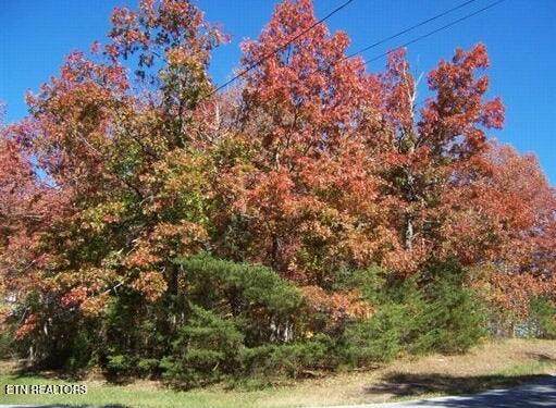151 Baltusrol Rd - Photo 1
