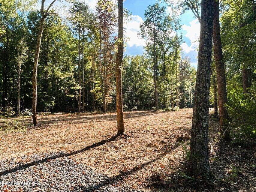 Tract 3 Pleasant Hill - Photo 1