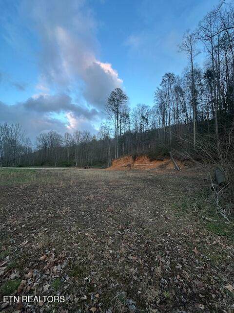 320 Frost Bottom Rd - Photo 1