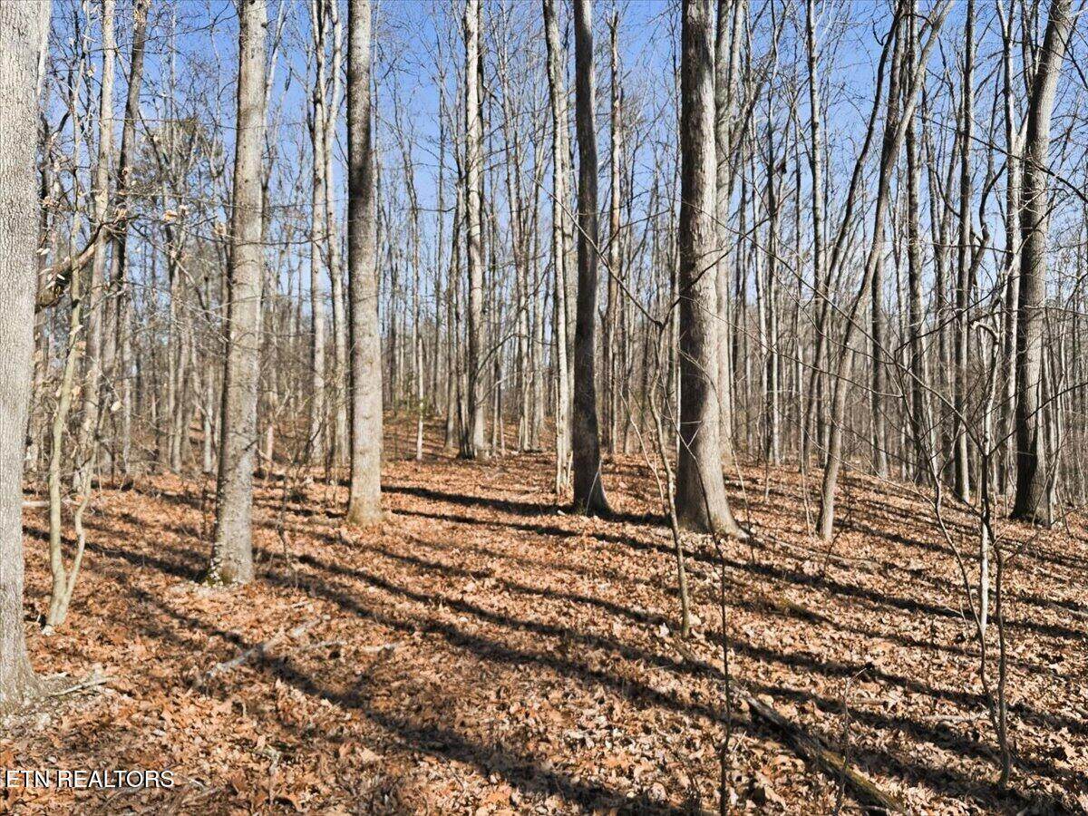 180 Hill Rd - Photo 1