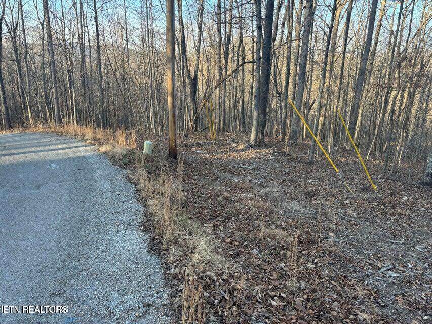  Lake Drive Lane - Photo 1