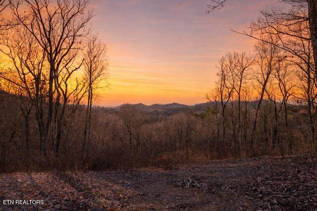  Lot 51 Cloud View Drive - Photo 1