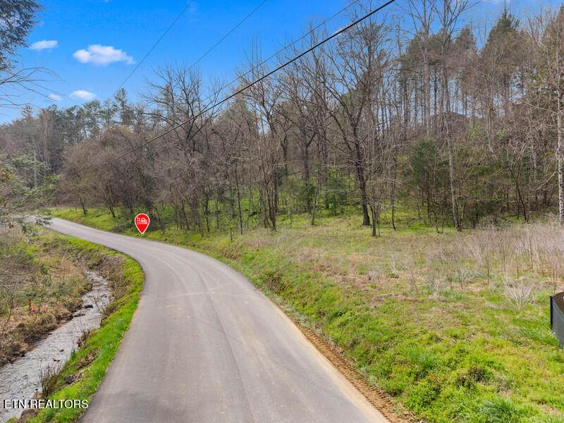 Lot 5 Obes Branch Rd - Photo 1
